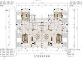 富力南昆山温泉养生谷_C户型首层平面图 建面0平米