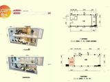 中庚城_loftB户型 建面54平米