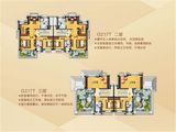 碧桂园城市花园_5室2厅4卫 建面446平米