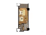 天虹品上中心_1室1厅1卫 建面55平米