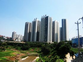 国盛图腾绿岛