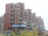 沂河一英里