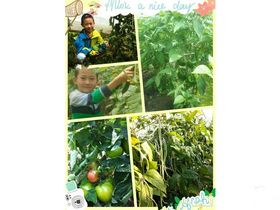 花田草海假日公寓