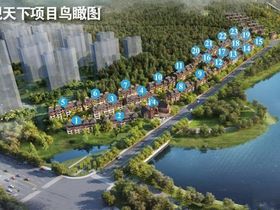 金科观天下