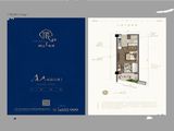峨眉观顶_1室1厅1卫 建面42平米
