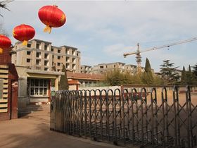 常青藤花园