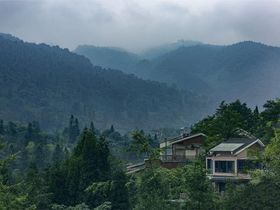 中国眉山七里坪