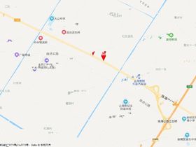 崇明区中兴镇加油站专项规划15号地块