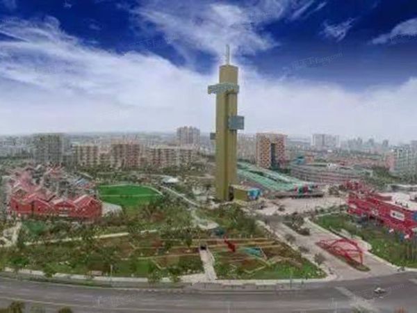 锦鲤花园