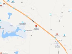 凤凰半岛果岭阳光