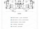 紫薇生态城_3室2厅2卫 建面150平米